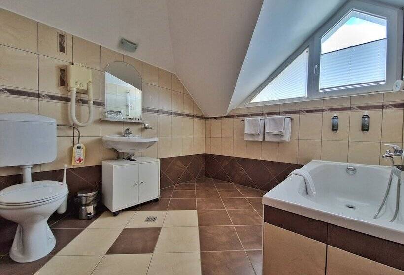 اتاق استاندارد, Penzion Kovac