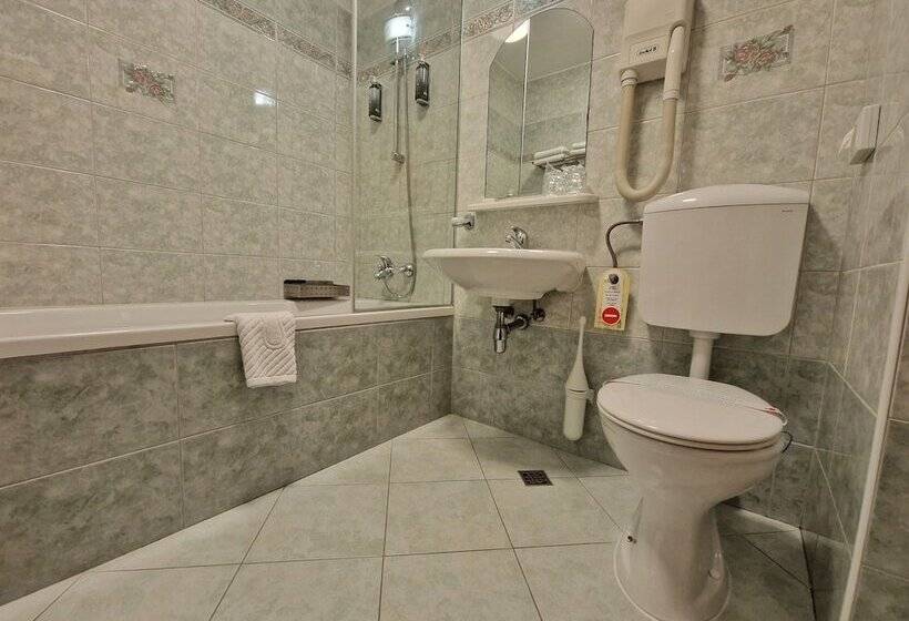 اتاق استاندارد, Penzion Kovac