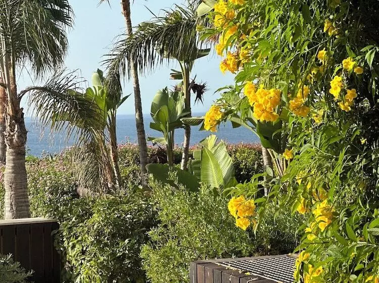 コンフォートワンルーム, Vila Luz