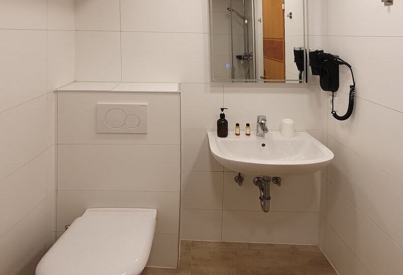 اتاق استاندارد یک نفره, Rheinmetropole