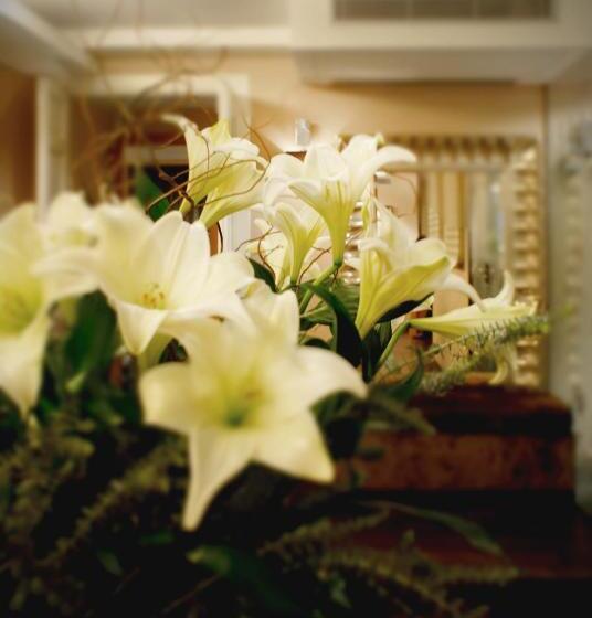 اتاق استاندارد, Casa Boutique Barcelona