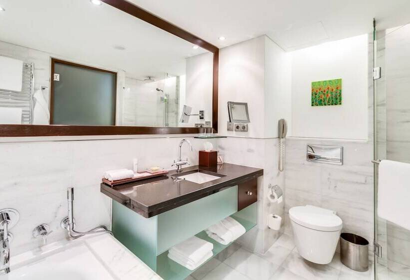 اتاق استاندارد با چشمانداز, Hyatt Regency Kyiv