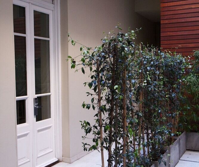 اتاق استاندارد, Vain Boutique