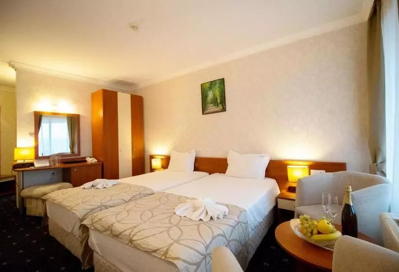 スタンダードルーム, Hissar Spa