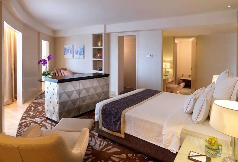 高级大房间, One World