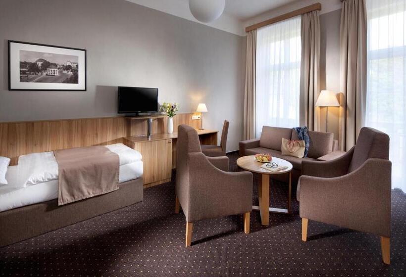 اتاق استاندارد یک نفره, Badenia Hotel Praha