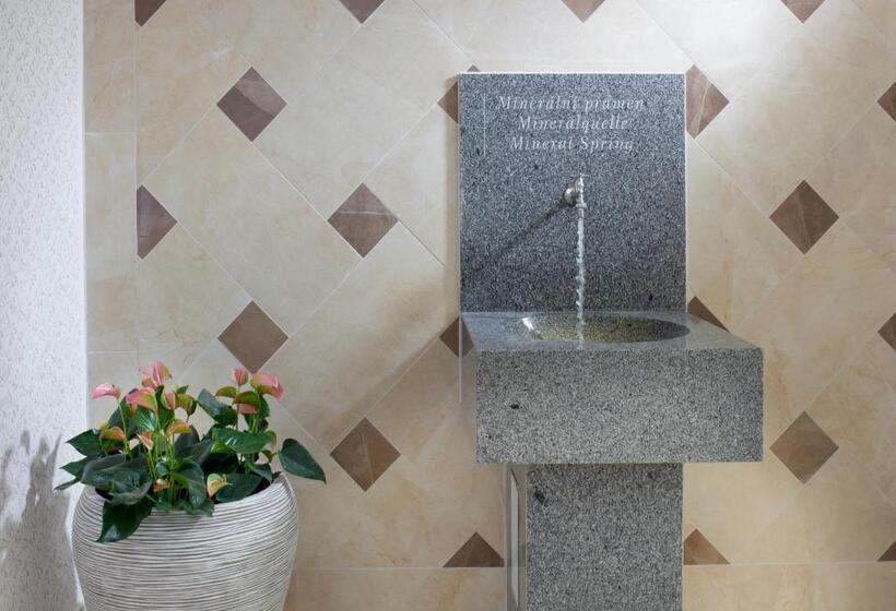 اتاق استاندارد, Badenia Hotel Praha