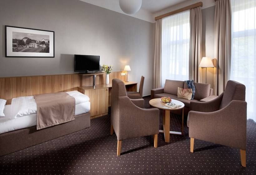 اتاق استاندارد یک نفره, Badenia Hotel Praha
