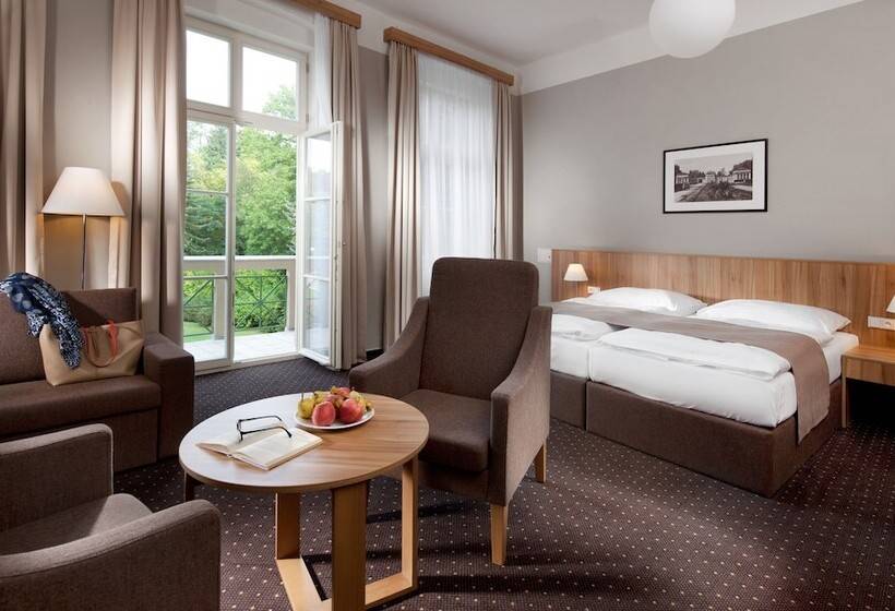 스탠다드 싱글 룸, Badenia Hotel Praha