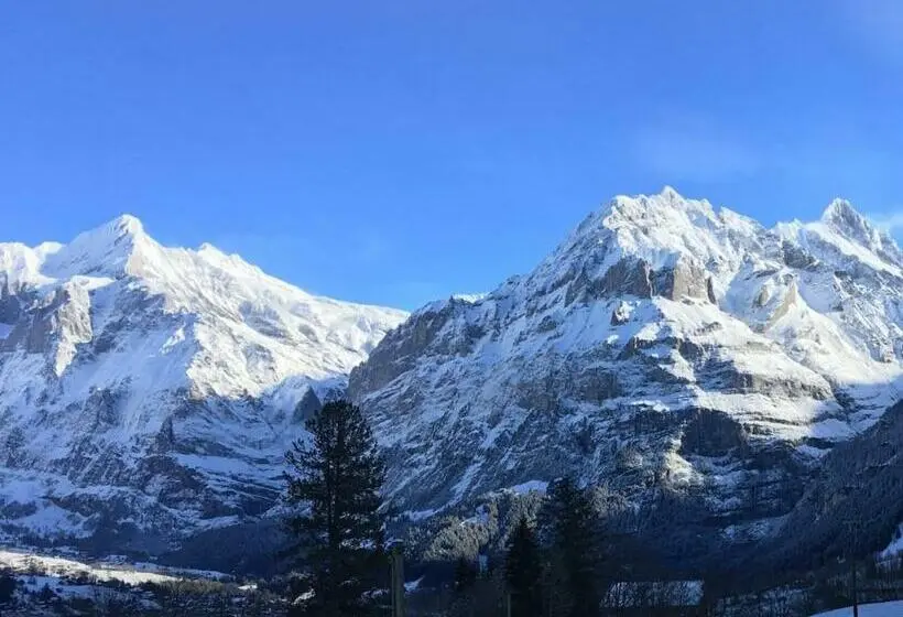 اتاق استاندارد, Jägerstübli Grindelwald