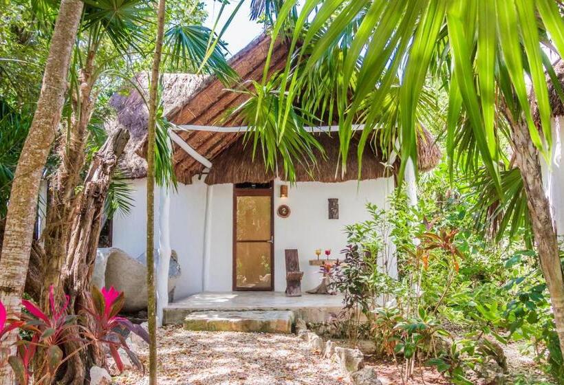 سوئیت با تخت بزرگ, Roc Luxe Tulum