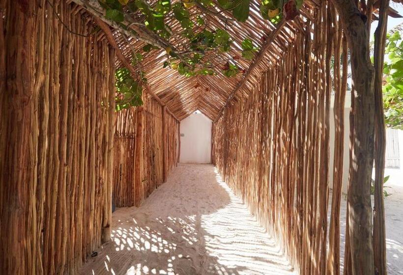 سوئیت با تخت بزرگ, Roc Luxe Tulum