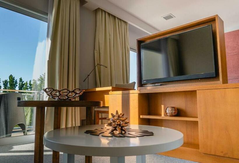 جناح رئاسى, Lincoln Green Hotel And Spa   Argentina