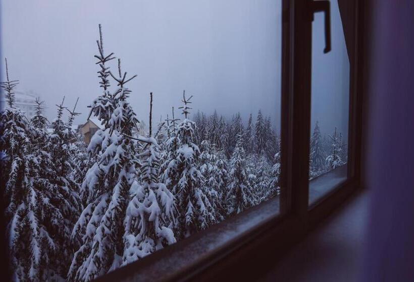 スタンダード４人部屋, Altitude Guest House Ranca