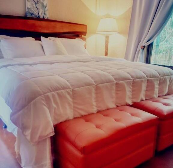 اتاق لوکس با تخت بزرگ, Vive Utila Bed & Breakfast