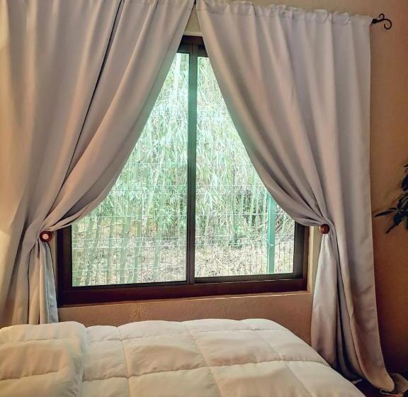 اتاق لوکس با تخت بزرگ, Vive Utila Bed & Breakfast