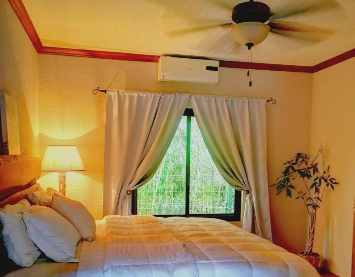 اتاق لوکس با تخت بزرگ, Vive Utila Bed & Breakfast