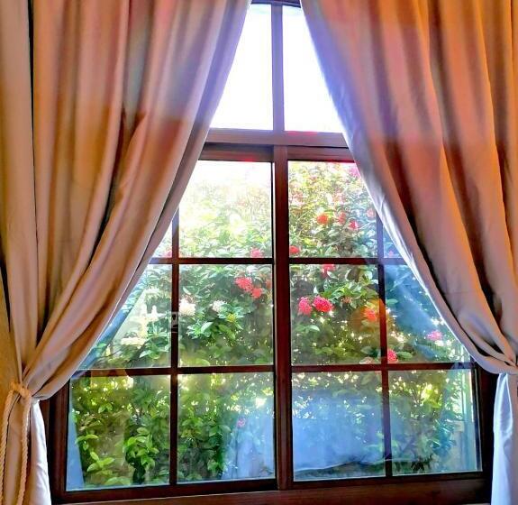 اتاق استاندارد با تخت بزرگ, Vive Utila   Bed & Breakfast