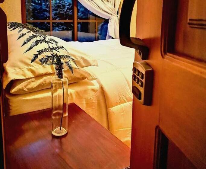 اتاق استاندارد با چشمانداز باغ, Vive Utila Bed & Breakfast