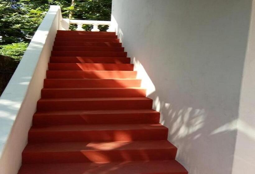 חדר דלוקס, Aashikha Farm House