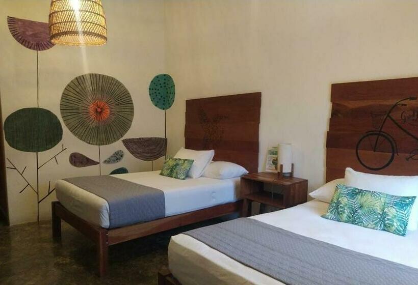 اتاق کلاسیک چهارنفره, Sur Bacalar