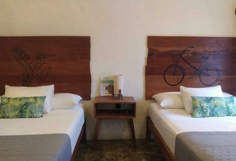 اتاق کلاسیک چهارنفره, Sur Bacalar