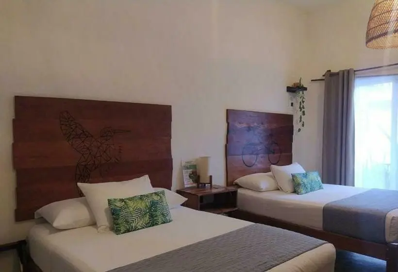 اتاق کلاسیک چهارنفره, Sur Bacalar