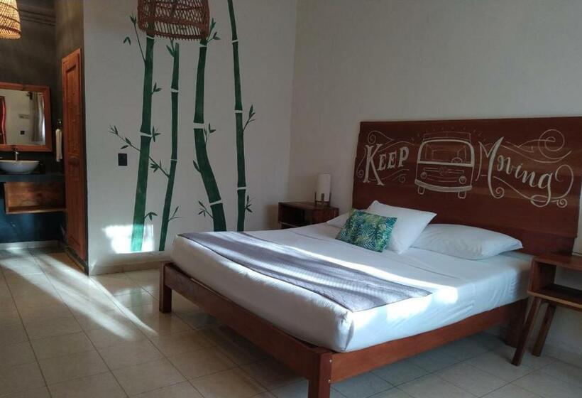 اتاق استاندارد, Sur Bacalar