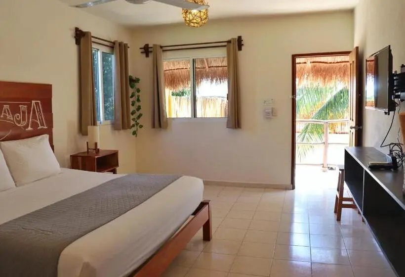 اتاق استاندارد, Sur Bacalar