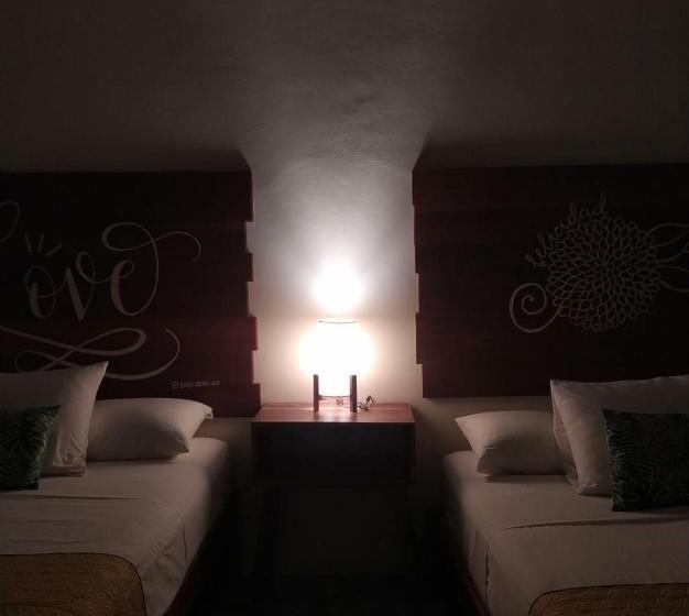 اتاق سوپریور چهار تخته, Sur Bacalar