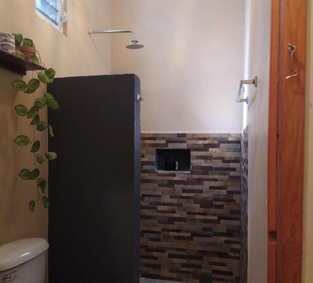 اتاق سوپریور چهار تخته, Sur Bacalar