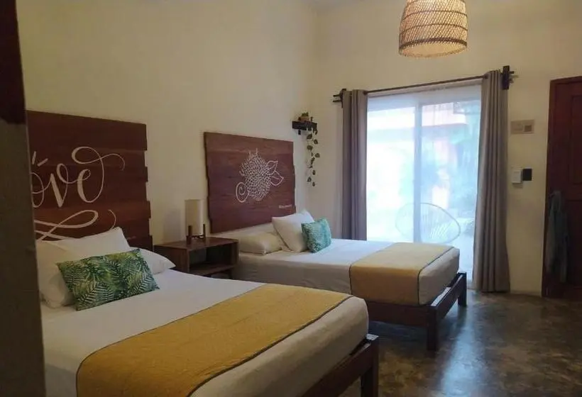 اتاق سوپریور چهار تخته, Sur Bacalar