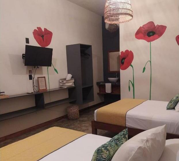 スーペリアの４人部屋, Sur Bacalar