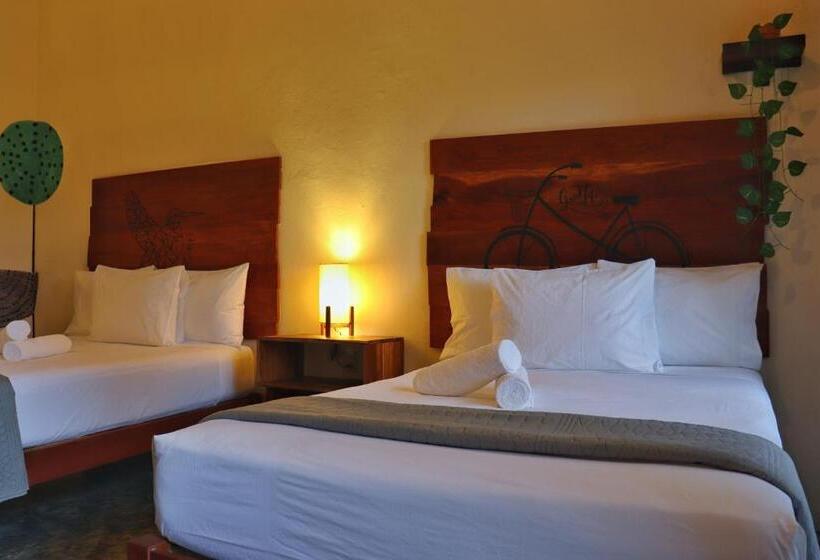 اتاق سوپریور چهار تخته, Sur Bacalar