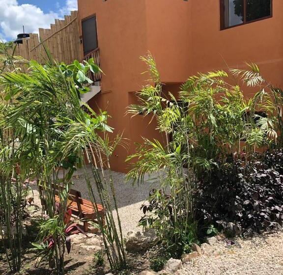 سوییت با چشم‌انداز باغ, Sur Bacalar