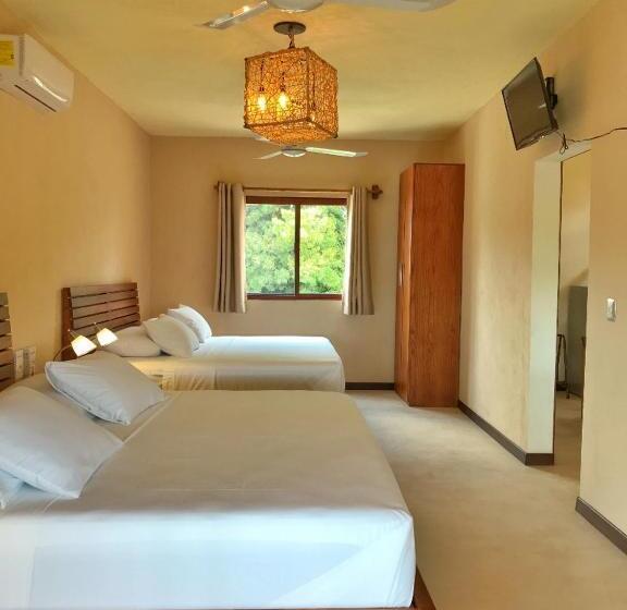 テラス付きジュニアスイート, Sur Bacalar