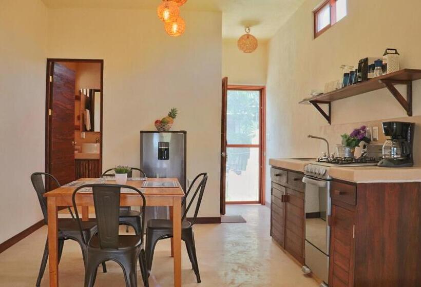 سوئیت جونیور با تراس, Sur Bacalar