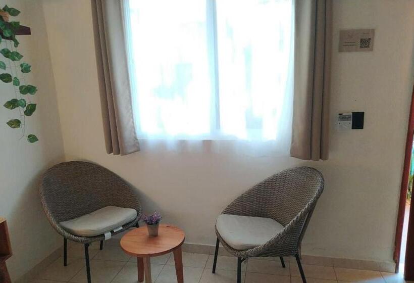 اتاق سوپریور سه تخته, Sur Bacalar