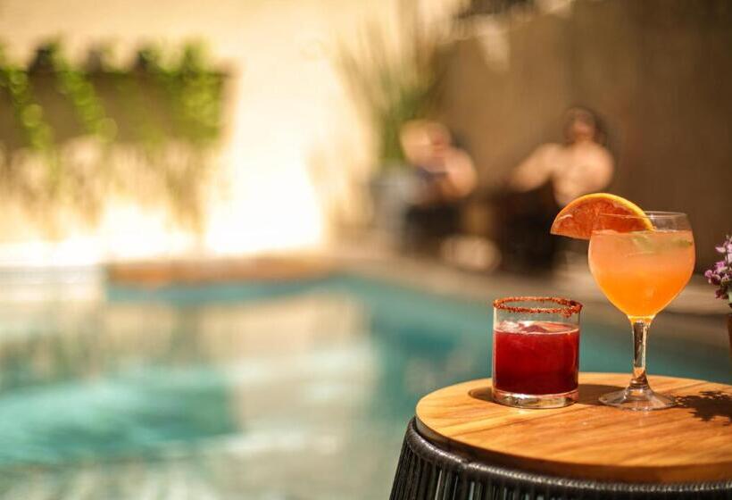 اتاق سوپریور سه تخته, Sur Bacalar