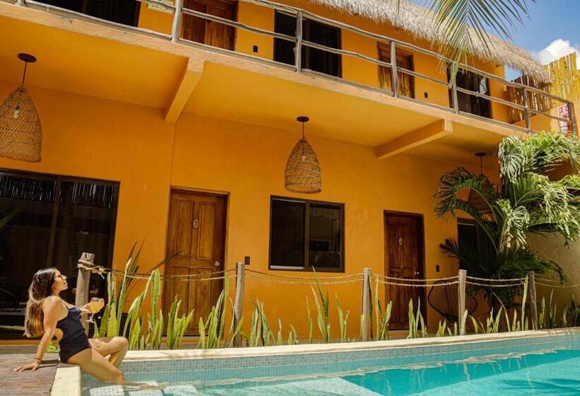 اتاق سوپریور سه تخته, Sur Bacalar