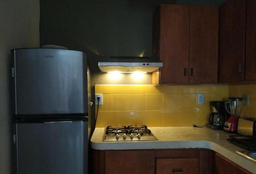 テラス付き１ベッドルームアパートメント, Sur Bacalar