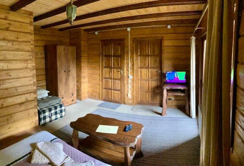 标准间带阳台, Skelia