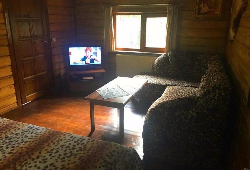 家庭工作室, Skelia