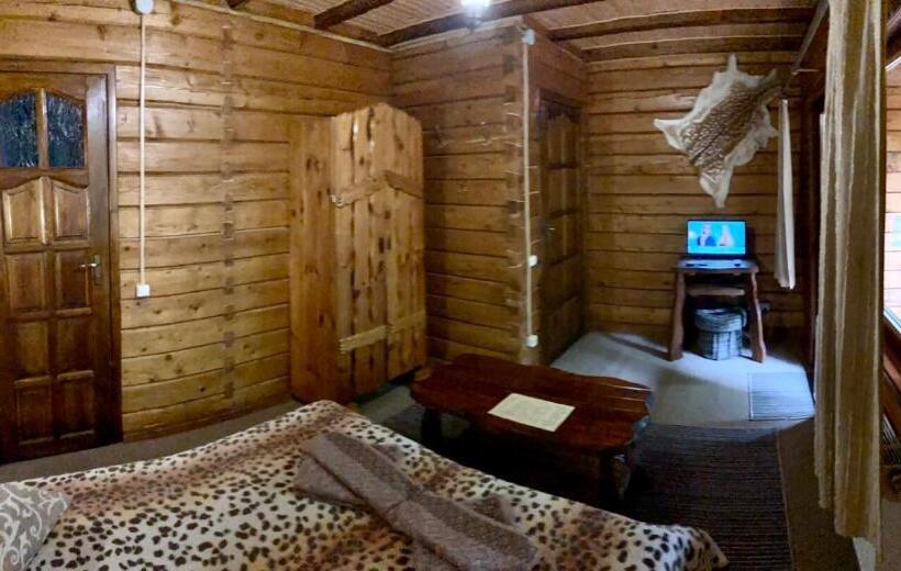 标准间带阳台, Skelia