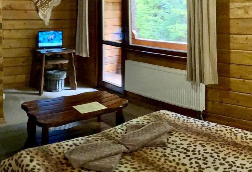 标准间带阳台, Skelia