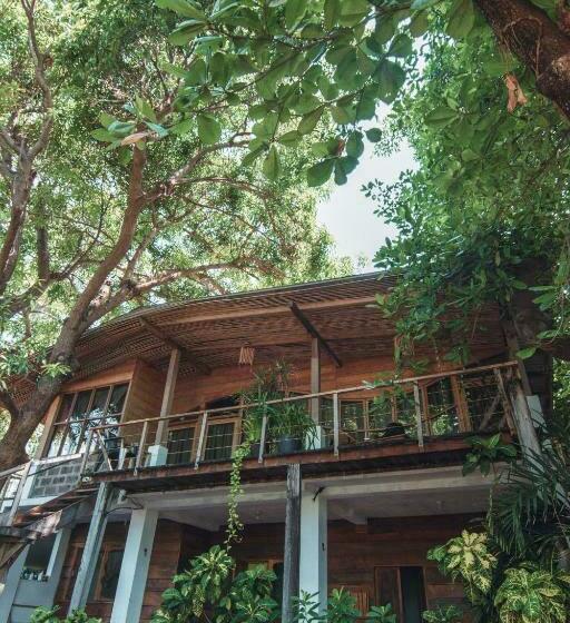 غرفة عائلية, Esencia Nativa