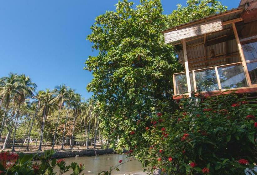 Triple Room Sea View, Esencia Nativa