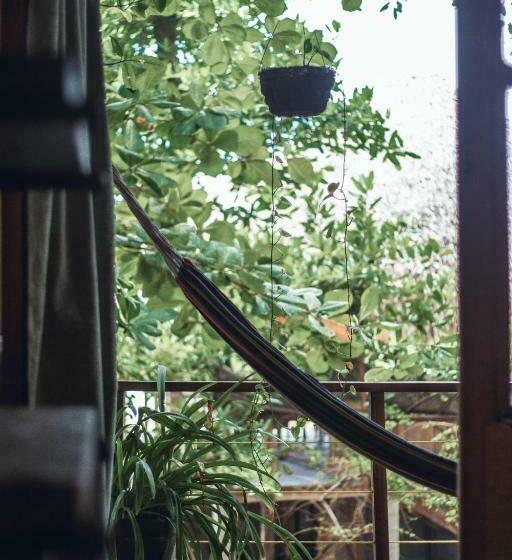 غرفة قياسية, Esencia Nativa