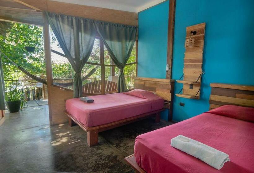 غرفة قياسية, Esencia Nativa