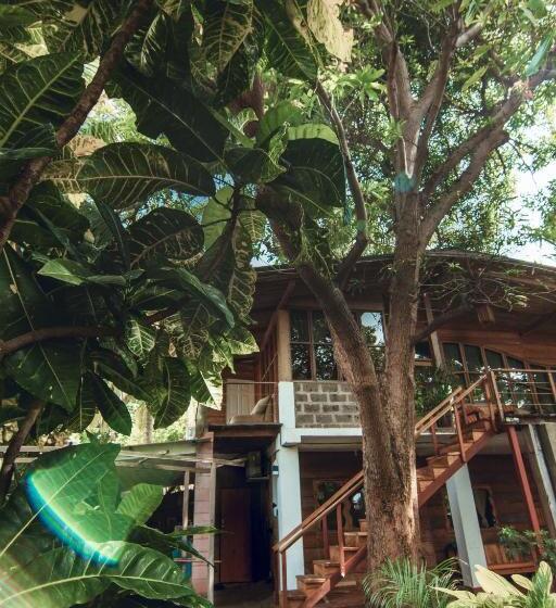 غرفة ديلوكس, Esencia Nativa